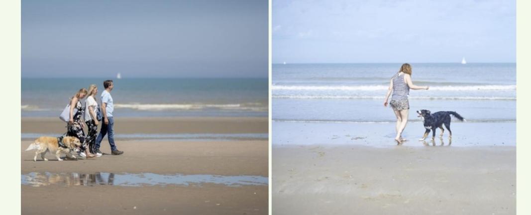 Strandchalet Бреден Экстерьер фото